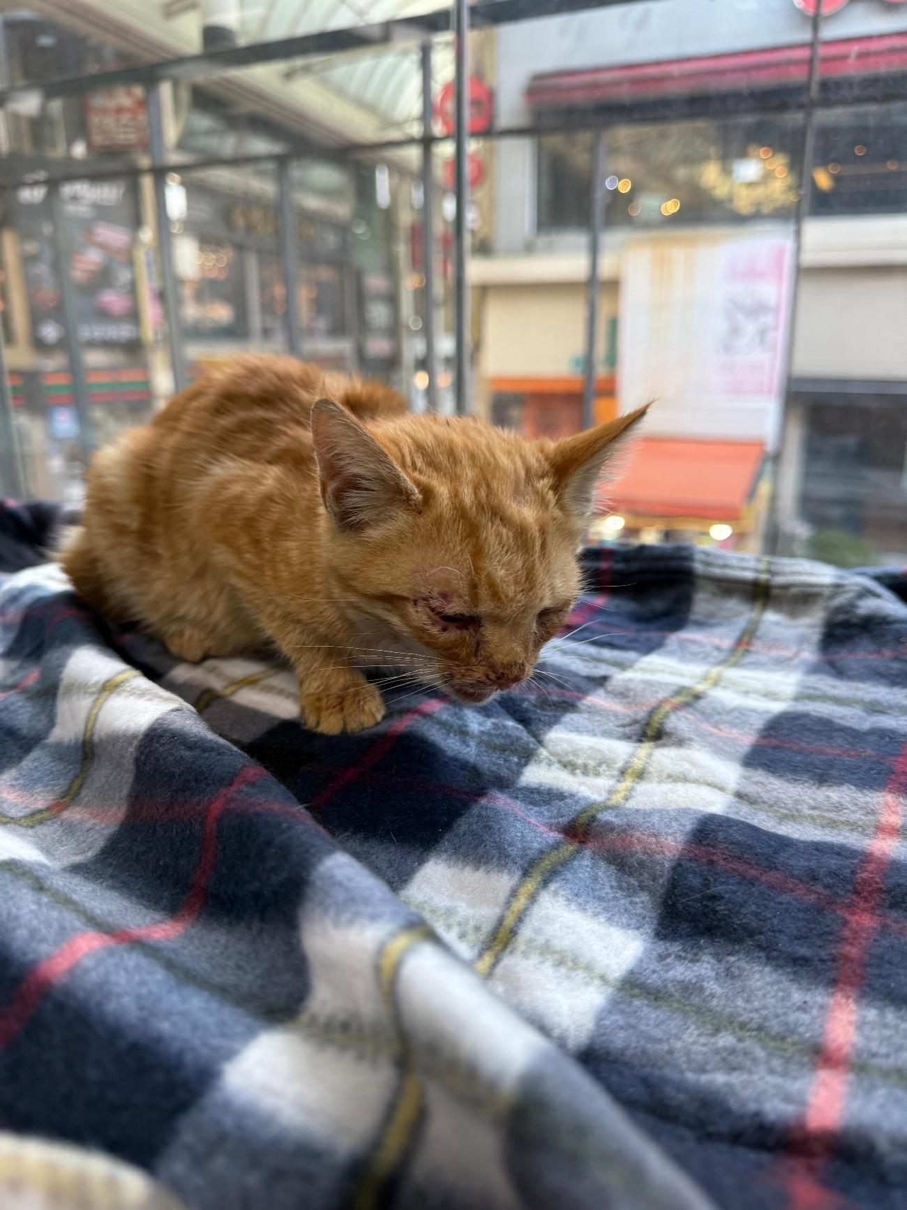 사단법인 포유_431372202500703